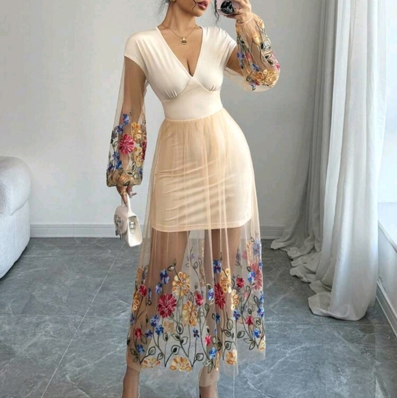 Women Embroidered Mesh Patchwork V-Neck Lantern Sleeve Cinched Waist - Picture 1 of 5